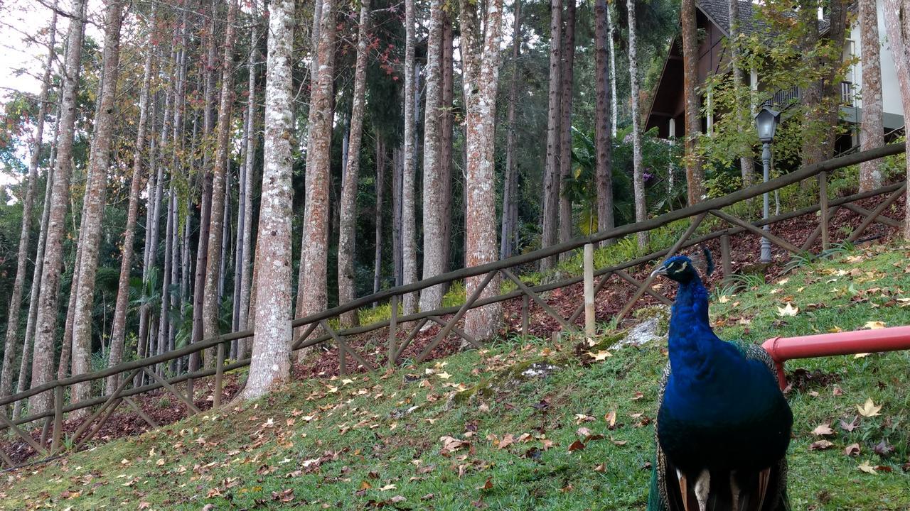 Hotel Fazenda Monte Verde Golf & Resort Vargem Alta Dış mekan fotoğraf